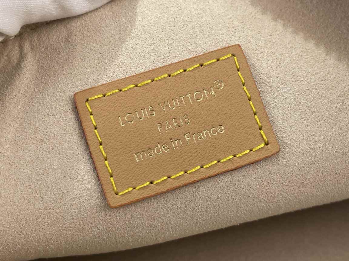 Louis Vuitton Multipass Shoulder Bag M2A078 in Dune Monogram Canvas with Gold Chain & Leather Trim