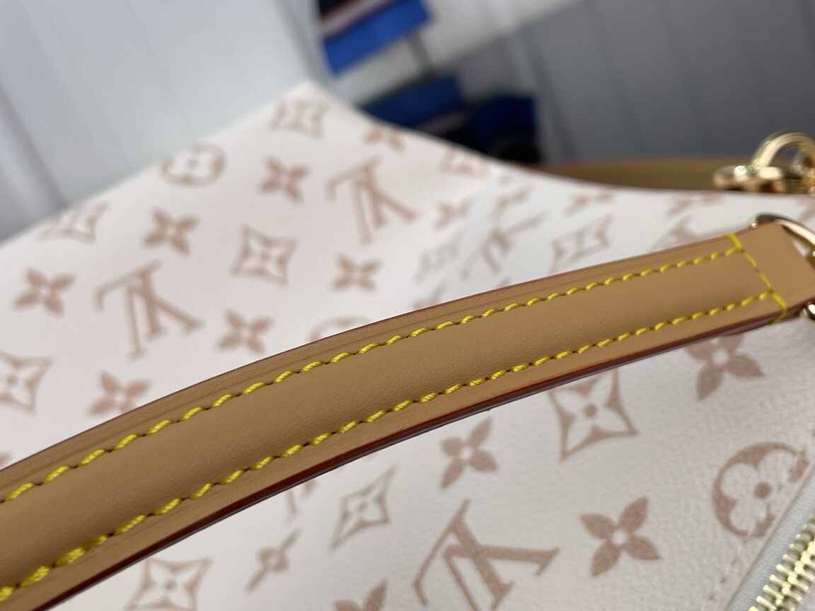 Louis Vuitton Multipass Shoulder Bag M2A078 in Dune Monogram Canvas with Gold Chain & Leather Trim